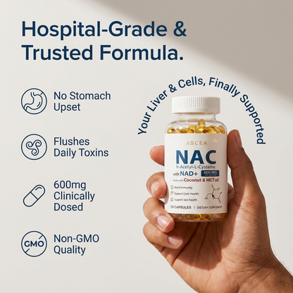 NAC600+NAD⁺  to Support your liver. Steady your days.